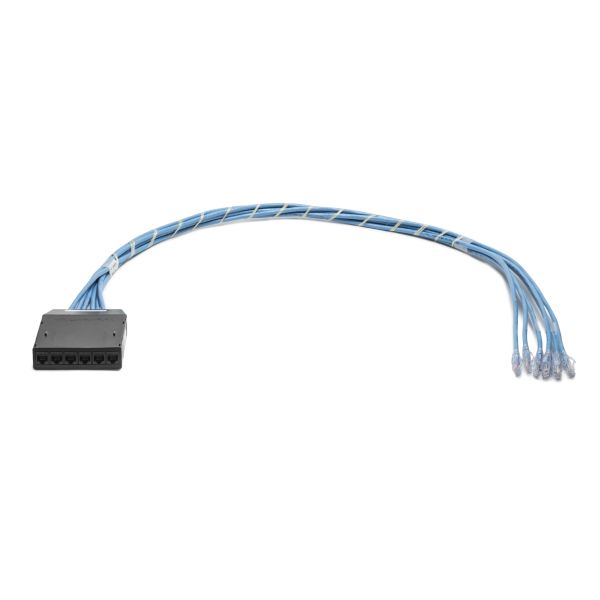 RapidNet CAT 6 UTP RNC Cassette to Plug, Riser Cable, Blue, 6 port, 1/ctn