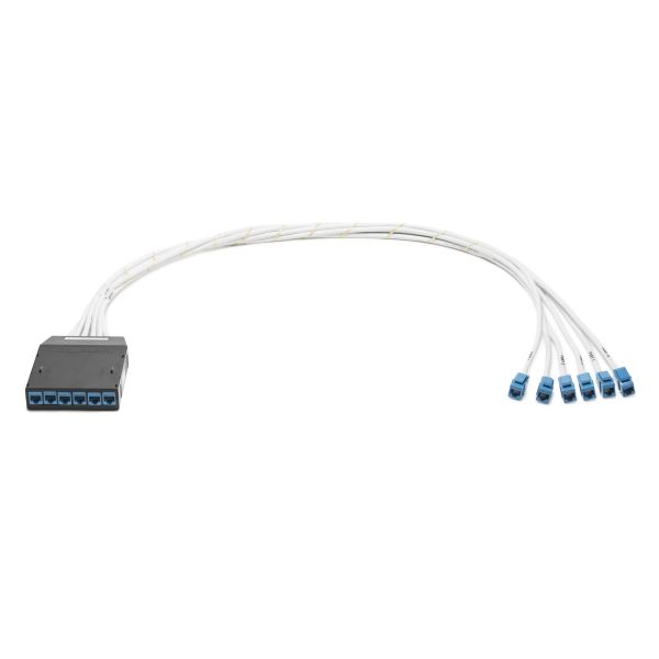 RapidNet CAT 6 UTP RNC Blue Cassette to Blue Jack, Plenum Cable, Blue, 6 port, 1/ctn
