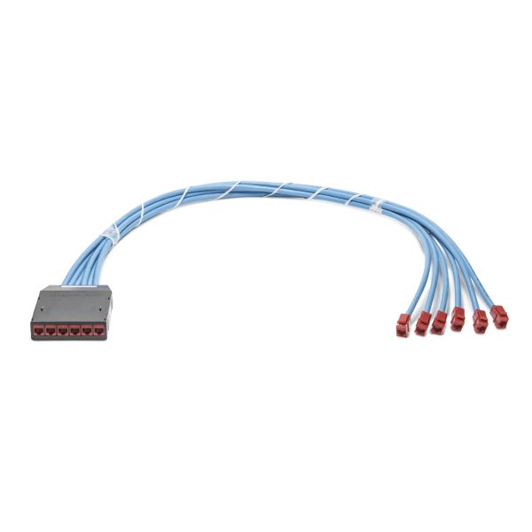 RapidNet CAT 6A UTP RNC Red Cassette to Red Jack, Plenum Cable, Blue, 6 port, 1/ctn