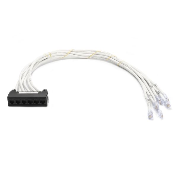RapidNet CAT 6 UTP RNS Cassette to Plug, Riser Cable, White, 6 Port, 1/ctn