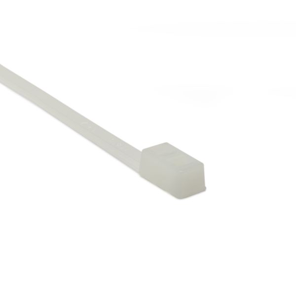 Double-Head Cable Tie, 12